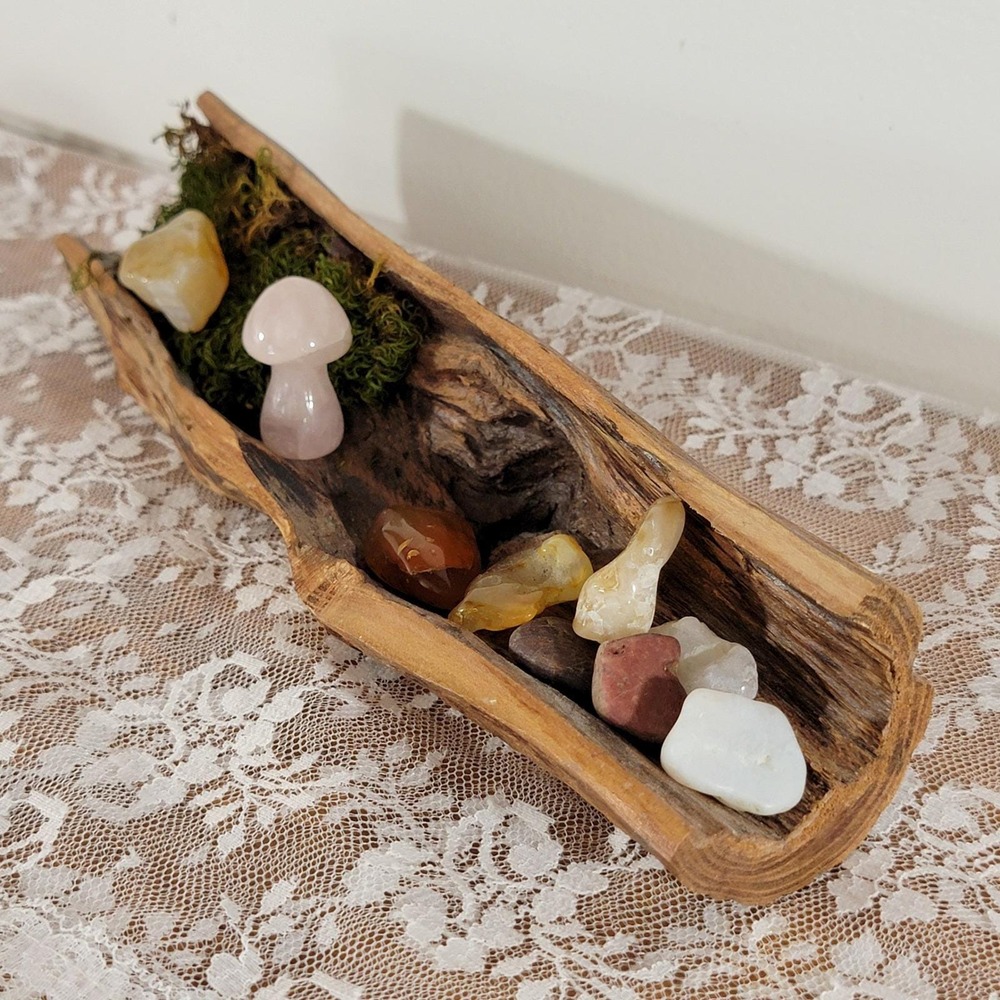 Natural Wood Log Bowl Rustic Hollow Tree Branch Tray Crystal Holder Decor
